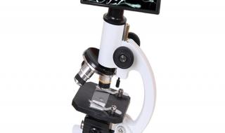 显微镜的正常使用方法 如何使用显微镜